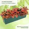 MePla - Blumenkasten Balcony Standard 60 cm grün Produktbild-Vorschau 6