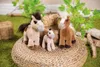 NICI peluche Pony Lorenzo 25cm Anteprima dell’immagine prodotto 2