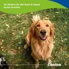 Canina Biotin Forte Compresse 100g Anteprima dell’immagine prodotto 6