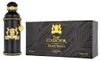 Alexandre.J The Collector Black Muscs Edp Spray Náhled obrázku produktu 5