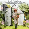 A woman is holding a potted plant and standing in front of a greenhouse. Voir les images du produit