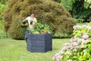 A woman is planting in a raised garden bed in a backyard setting. Produktbild-Vorschau