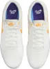 Nike SB Chron 2 Canvas Summit White/Univers 46 Produktbild-Vorschau 2