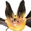 Safari Ltd Townsends Big Eared Bat Multicolor One Size Produktbild-Vorschau 4