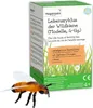 TimeTEX Lebenszyklus-Modell "Wildbiene", 4-tlg. Produktbild-Vorschau 2