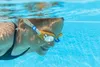 Bestway® Schwimmbrille Aqua Burst Essential™ ab 7 Jahren, Produktbild-Vorschau 7
