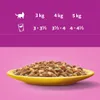 WHISKAS Adult Saszetki 48 x 85g Drobiowa Uczta Mokra Karma Podgląd zdjęcia produktu 5