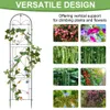 WISFOR Rankhilfe 2er Set Metall, rostfrei Rankhilfe Garten Produktbild-Vorschau 13