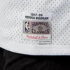 Mitchell & Ness Swingman Jersey Chicago Bulls Dennis Rodman Produktbild-Vorschau 11