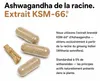 Ashwagandha KSM-66 Capsules Hautement Concentrées - 600 mg Voir les images du produit 2