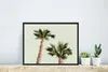 MuchoWow® MuchoWow® Gerahmtes Poster Palme - Himmel - Produktbild-Vorschau 5