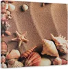 Leinwandbild muscheln auf trockenem sand 40x40 cm Feeby Produktbild-Vorschau 1