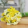 Bloomique - Mélange de 15 - Narcisse - Jonquille - Mélange Voir les images du produit 7