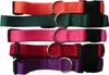 Hundehalsband Prism Snap & Go aus Nylon GR. L  Halsband für Produktbild-Vorschau 1