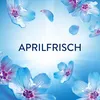 Lenor Wäscheparfüm Aprilfrisch, Granulat, 495 g, Blume, Produktbild-Vorschau 5