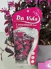 A plant tag for Loropetalum chinense 'Ever Red' with a picture of the plant. Voir les images du produit