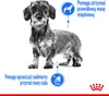 Royal Canin 9003579008690, Dorosły, 85 g Podgląd zdjęcia produktu 3