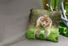 MuchoWow® Outdoor Kissen - Tier - Affe - Baby - 50x50 cm - Produktbild-Vorschau 2
