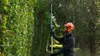 Akku-Teleskop-Heckenschere GHE 18V-50 TP Produktbild-Vorschau 8