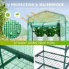 A collage of images showcasing a green greenhouse with plants inside, close-ups of its mesh construction, and a multi-tiered shelf unit. Voir les images du produit