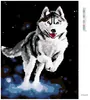 Diamondi - Diamond painting - HUSKY, 40X50 cm, mit Produktbild-Vorschau 3