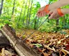 Handkettensäge Handsäge Seilsäge für Garten Survival Produktbild-Vorschau 8