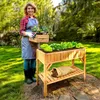 AREBOS lit surélevé étagère en bois jardinière cadre froid Voir les images du produit 2