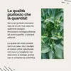 Vita Elements Ashwagandha Set da 3 180 Capsule Withanolidi Anteprima dell’immagine prodotto 4