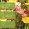 Islandmohn Samen Mix (Papaver nudicaule) - Wunderschön Produktbild-Vorschau 2
