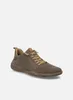 Josef Seibel WYNONA 06 Damenschuhe - bequeme Slipper - Produktbild-Vorschau 13