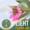 Sunny Tree - Roślina - Oleander - Nerium Oleander - Podgląd zdjęcia produktu 5