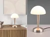 Stolní lampa TRIO RE R59561107 CANARIA E14 4,9 W matný nikl Náhled obrázku produktu 6