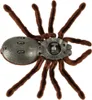 Zdalnie sterowany pająk TARANTULA + PILOT Podgląd zdjęcia produktu 5