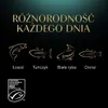 SHEBA Delikatesné rybie príchute v želé – vlhké krmivo pre Náhľad obrázku produktu 3