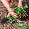 KOTARBAU® cazzuola per fiori per piantare e trapiantare Anteprima dell’immagine prodotto 2