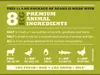 Acana Highest Protein Grasslands Dog Anteprima dell’immagine prodotto 11