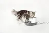 Nobby Trinkbrunnen Katze Cascade 1,5 l Produktbild-Vorschau 6