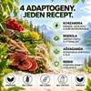 Stress sprej – Ashwagandha, Rhodiola, Reishi & Schisandra – Náhled obrázku produktu 3
