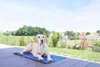 KERBL Kühlmatte für Hunde, blau 50x40cm Produktbild-Vorschau 2