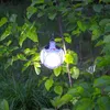 A solar-powered lantern is hanging from a tree branch in a natural outdoor setting. Anteprima dell’immagine prodotto