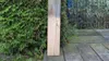 beko TecLine Holzentgrauer 1000 ml Flasche 299 20 1000 Produktbild-Vorschau 3