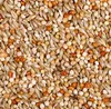 JR Farm nourriture pour perruches 1 kg Voir les images du produit 2