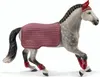 Cavallo da torneo del cavallo Trakehner Anteprima dell’immagine prodotto 1