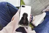 MuchoWow® Handyhülle Schutzhülle Hülle für iPhone 8 Kind - Produktbild-Vorschau 3