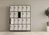 A metal locker unit with 20 compartments, some of which are open, set against a plain wall with a plant in a pot to the right. Náhľad obrázku produktu
