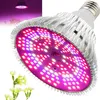 E27 Lampenfassung, 200 LEDs, für Zimmerpflanzen, Produktbild-Vorschau 1
