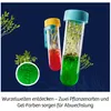 Kosmos 45496822, Experimentier-Set, Botanik, 8 Jahr(e) Produktbild-Vorschau 3