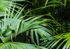 Nouveauté ! Paravent décoratif Séparateur de pièce Cloison Voir les images du produit 5