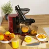 KitchenBrothers Slow Juicer - Entsafter - Obst- und Produktbild-Vorschau 3