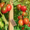 Holzpflöcke Hartholzpfähle 30cm - 25mmx25mm (25 Stk.) Produktbild-Vorschau 4